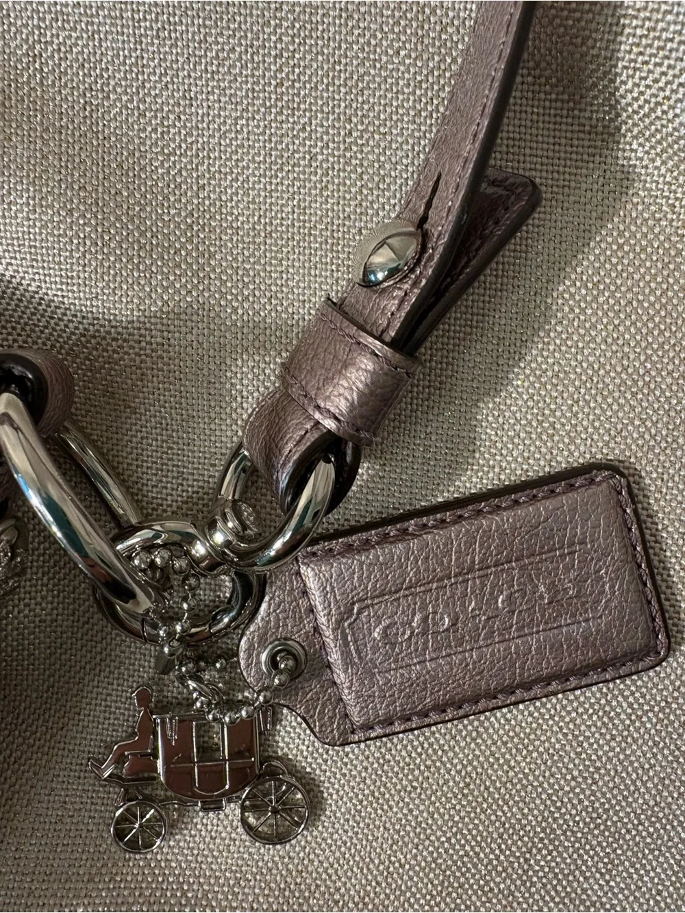 Coach Mia Convertible Metallic Leather Shoulder Crossbody Bag